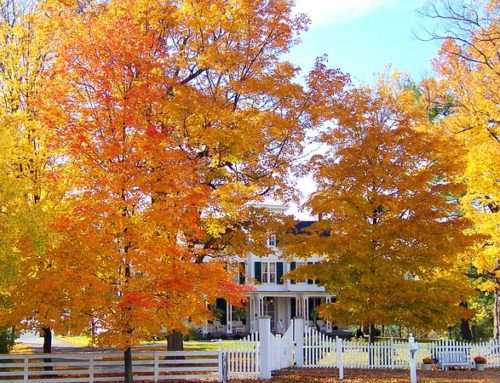 Fall Winter Home Maintenance Helpful Tips